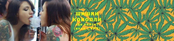 индика Горно-Алтайск